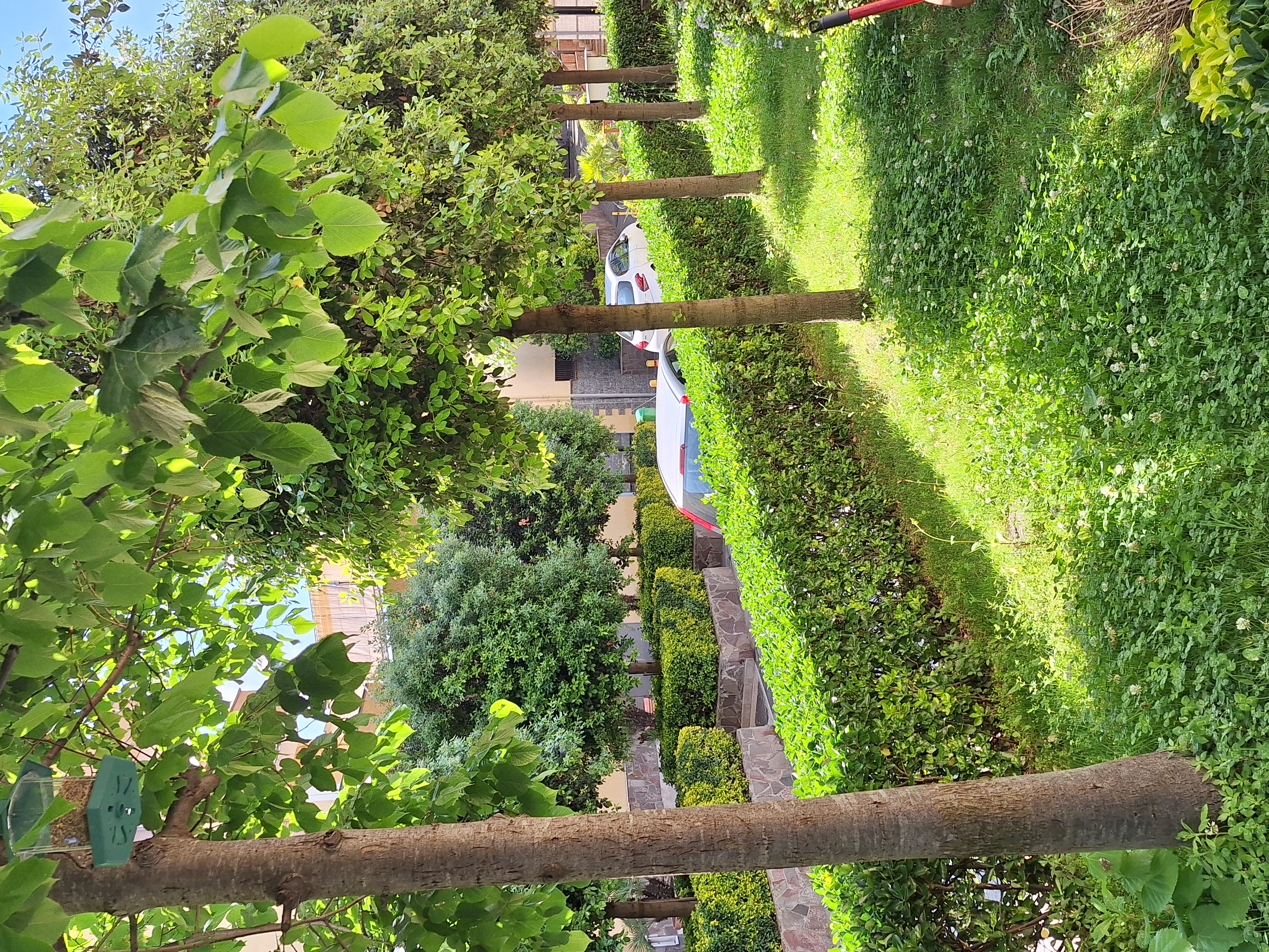 Giardini
